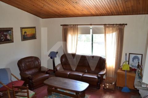 Farm i Boidobra, Castelo Branco, Boidobra - € 1.150.000 | Ref: 1217-3069 - foto 21