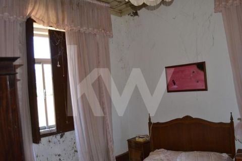 Farm i Boidobra, Castelo Branco, Boidobra - € 1.150.000 | Ref: 1217-3069 - foto 33