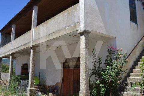 Farm i Boidobra, Castelo Branco, Boidobra - € 1.150.000 | Ref: 1217-3069 - foto 36