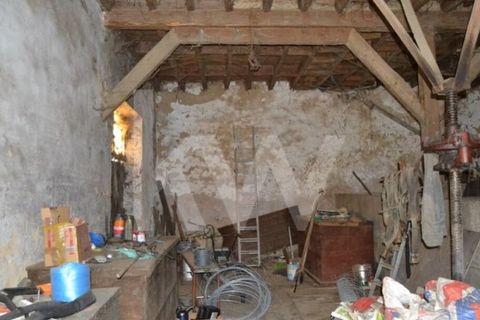 Farm i Boidobra, Castelo Branco, Boidobra - € 1.150.000 | Ref: 1217-3069 - foto 40