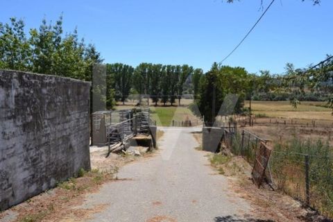 Farm i Boidobra, Castelo Branco, Boidobra - € 1.150.000 | Ref: 1217-3069 - foto 41
