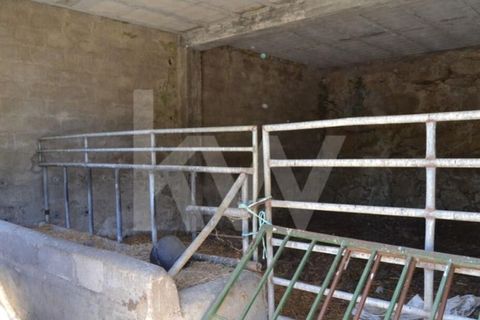 Farm i Boidobra, Castelo Branco, Boidobra - € 1.150.000 | Ref: 1217-3069 - foto 42
