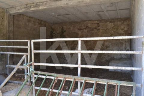 Farm i Boidobra, Castelo Branco, Boidobra - € 1.150.000 | Ref: 1217-3069 - foto 43