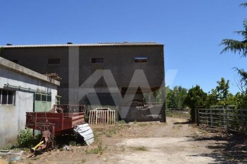 Farm i Boidobra, Castelo Branco, Boidobra - € 1.150.000 | Ref: 1217-3069 - foto 44