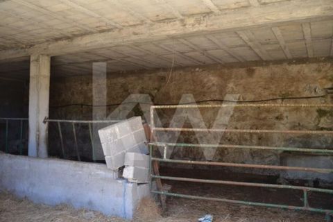Farm i Boidobra, Castelo Branco, Boidobra - € 1.150.000 | Ref: 1217-3069 - foto 45