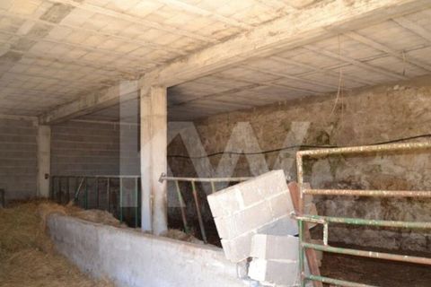 Farm i Boidobra, Castelo Branco, Boidobra - € 1.150.000 | Ref: 1217-3069 - foto 46