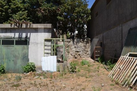 Farm i Boidobra, Castelo Branco, Boidobra - € 1.150.000 | Ref: 1217-3069 - foto 47