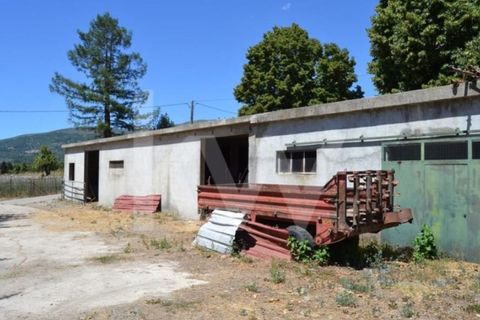 Farm i Boidobra, Castelo Branco, Boidobra - € 1.150.000 | Ref: 1217-3069 - foto 48