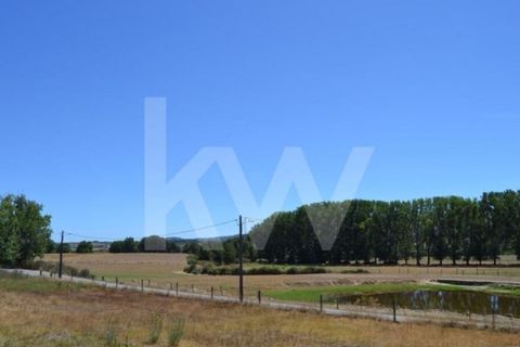 Farm i Boidobra, Castelo Branco, Boidobra - € 1.150.000 | Ref: 1217-3069 - foto 49