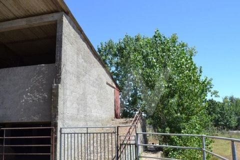 Farm i Boidobra, Castelo Branco, Boidobra - € 1.150.000 | Ref: 1217-3069 - foto 50