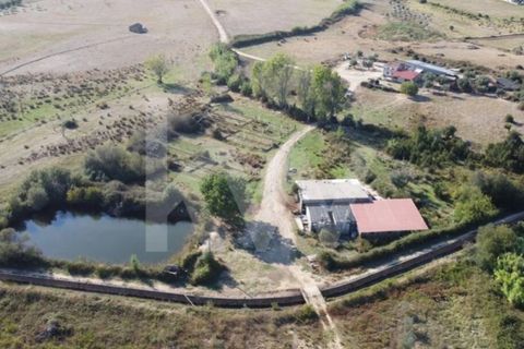 Farm i Ladoeiro, Castelo Branco, Ladoeiro - € 680.000 | Ref: 1217-3079 - foto 1