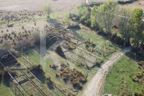 Farm i Ladoeiro, Castelo Branco, Ladoeiro - € 680.000 | Ref: 1217-3079 - foto 2