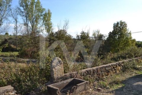 Farm i Ladoeiro, Castelo Branco, Ladoeiro - € 680.000 | Ref: 1217-3079 - foto 6