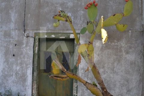 Farm i Ladoeiro, Castelo Branco, Ladoeiro - € 680.000 | Ref: 1217-3079 - foto 8