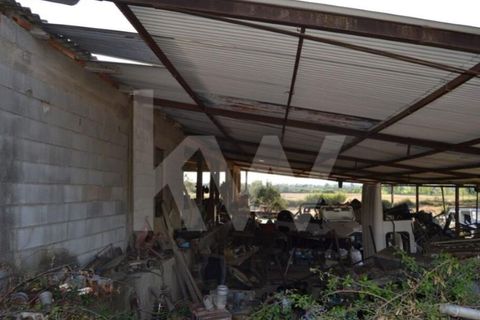 Farm i Ladoeiro, Castelo Branco, Ladoeiro - € 680.000 | Ref: 1217-3079 - foto 11