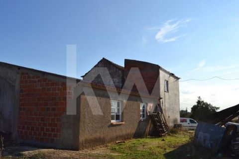 Farm i Ladoeiro, Castelo Branco, Ladoeiro - € 680.000 | Ref: 1217-3079 - foto 12