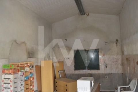Farm i Ladoeiro, Castelo Branco, Ladoeiro - € 680.000 | Ref: 1217-3079 - foto 14