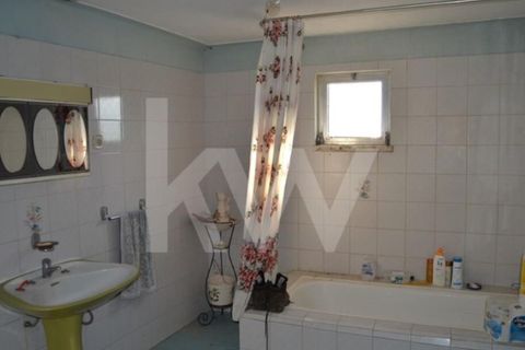Farm i Ladoeiro, Castelo Branco, Ladoeiro - € 680.000 | Ref: 1217-3079 - foto 19