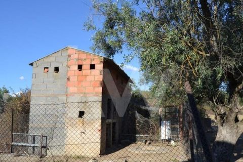 Farm i Ladoeiro, Castelo Branco, Ladoeiro - € 680.000 | Ref: 1217-3079 - foto 27