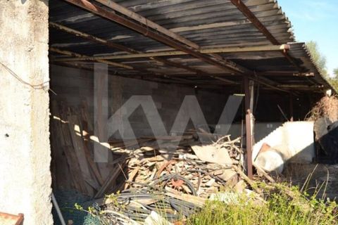 Farm i Ladoeiro, Castelo Branco, Ladoeiro - € 680.000 | Ref: 1217-3079 - foto 28