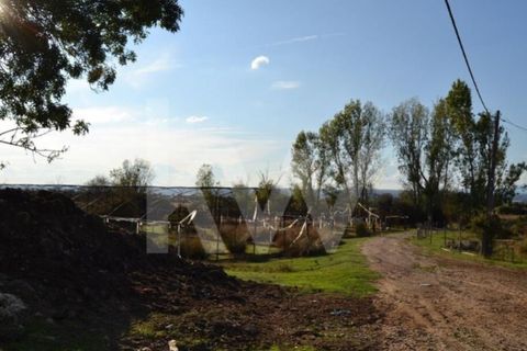 Farm i Ladoeiro, Castelo Branco, Ladoeiro - € 680.000 | Ref: 1217-3079 - foto 29