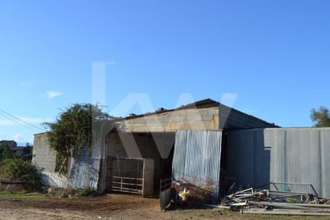 Farm i Ladoeiro, Castelo Branco, Ladoeiro - € 680.000 | Ref: 1217-3079 - foto 35