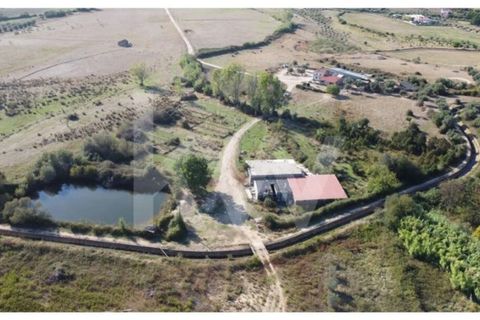 Farm i Ladoeiro, Castelo Branco, Ladoeiro - € 680.000 | Ref: 1217-3079 - foto 36
