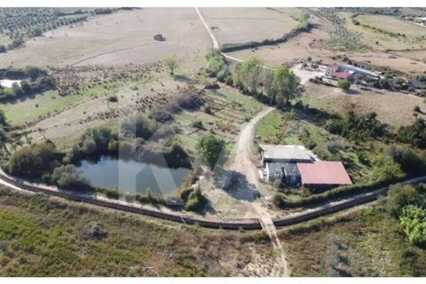 Farm i Ladoeiro, Castelo Branco, Ladoeiro - € 680.000 | Ref: 1217-3079 - foto 37