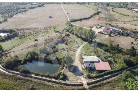 Farm i Ladoeiro, Castelo Branco, Ladoeiro - € 680.000 | Ref: 1217-3079 - foto 38