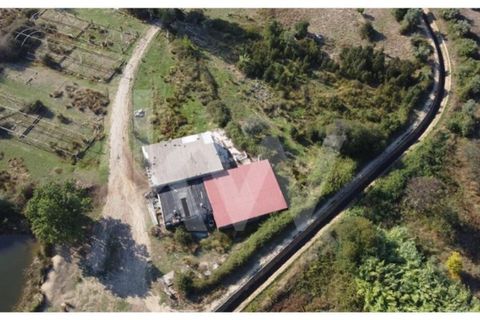 Farm i Ladoeiro, Castelo Branco, Ladoeiro - € 680.000 | Ref: 1217-3079 - foto 39