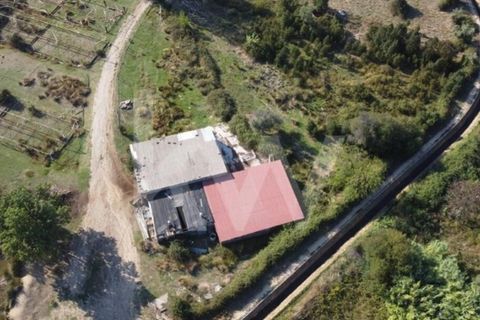 Farm i Ladoeiro, Castelo Branco, Ladoeiro - € 680.000 | Ref: 1217-3079 - foto 40