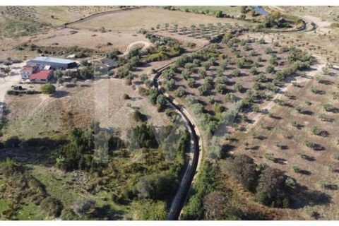 Farm i Ladoeiro, Castelo Branco, Ladoeiro - € 680.000 | Ref: 1217-3079 - foto 41