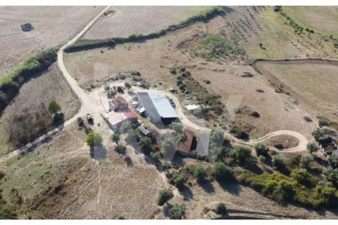 Farm i Ladoeiro, Castelo Branco, Ladoeiro - € 680.000 | Ref: 1217-3079 - foto 42