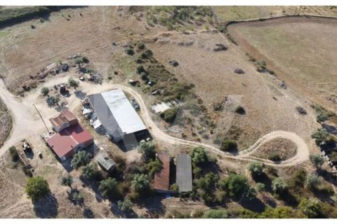 Farm i Ladoeiro, Castelo Branco, Ladoeiro - € 680.000 | Ref: 1217-3079 - foto 43