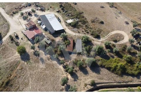Farm i Ladoeiro, Castelo Branco, Ladoeiro - € 680.000 | Ref: 1217-3079 - foto 44