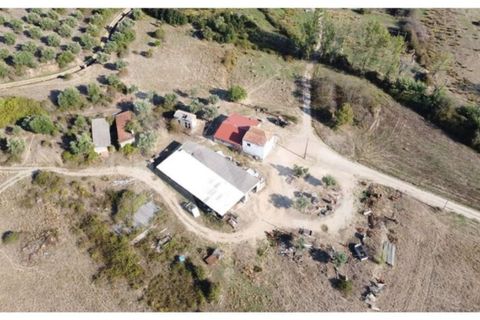 Farm i Ladoeiro, Castelo Branco, Ladoeiro - € 680.000 | Ref: 1217-3079 - foto 47