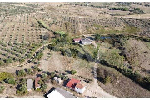 Farm i Ladoeiro, Castelo Branco, Ladoeiro - € 680.000 | Ref: 1217-3079 - foto 48