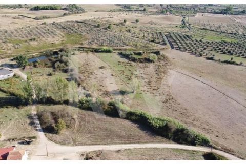 Farm i Ladoeiro, Castelo Branco, Ladoeiro - € 680.000 | Ref: 1217-3079 - foto 50