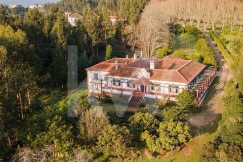 Villa i Agueda, Aveiro, Agueda - € 1.900.000 | Ref: 1217-2163 - foto 2
