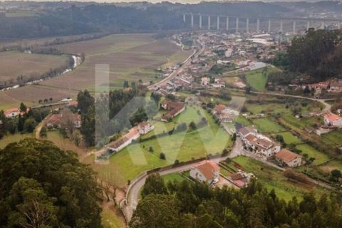 Villa i Agueda, Aveiro, Agueda - € 1.900.000 | Ref: 1217-2163 - foto 11
