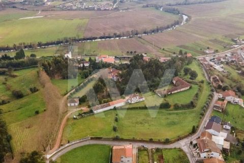 Villa i Agueda, Aveiro, Agueda - € 1.900.000 | Ref: 1217-2163 - foto 12