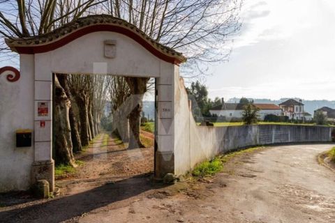 Villa i Agueda, Aveiro, Agueda - € 1.900.000 | Ref: 1217-2163 - foto 13