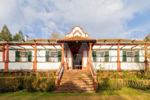 Villa i Agueda, Aveiro, Agueda - € 1.900.000 | Ref: 1217-2163 - foto 15