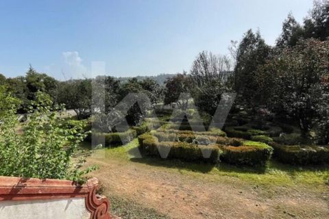 Villa i Agueda, Aveiro, Agueda - € 1.900.000 | Ref: 1217-2163 - foto 16