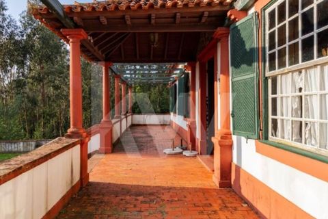 Villa i Agueda, Aveiro, Agueda - € 1.900.000 | Ref: 1217-2163 - foto 17