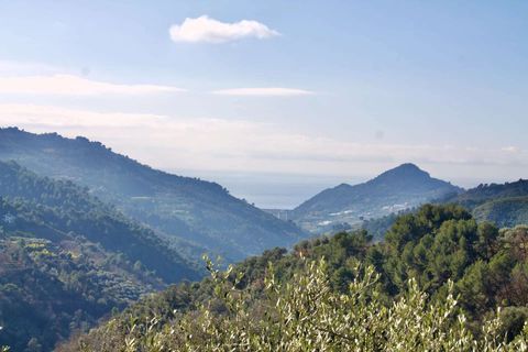 Villa i Perinaldo, Imperia, Perinaldo - € 995.000 | Ref: E299-459556 - foto 7