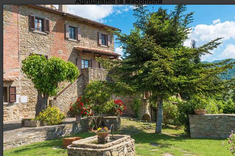 Farm hus i Stia, Arezzo, Stia - € 1.100.000 | Ref: 11226RA50125-459787 - foto 2