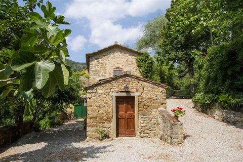 Villa i Cortona, Arezzo, Cortona - € 800.000 | Ref: 11226RA56022-460045 - foto 12