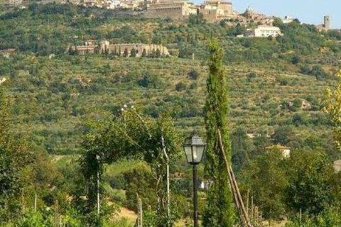 Villa a Cortona, Arezzo, Cortona - € 3.200.000 | Ref: 11226RV91295-460136 - foto 7