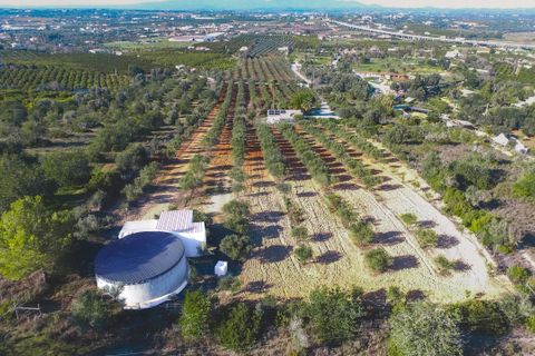 Farm hus i Lagoa, Faro, Lagoa - € 1.400.000 | Ref: BAP-45 - foto 17